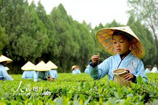 开云电竞官方入口